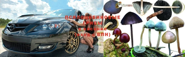 бутират Алзамай