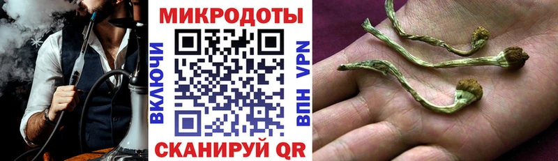 Псилоцибиновые грибы Magic Shrooms  blacksprut зеркало  Андреаполь 